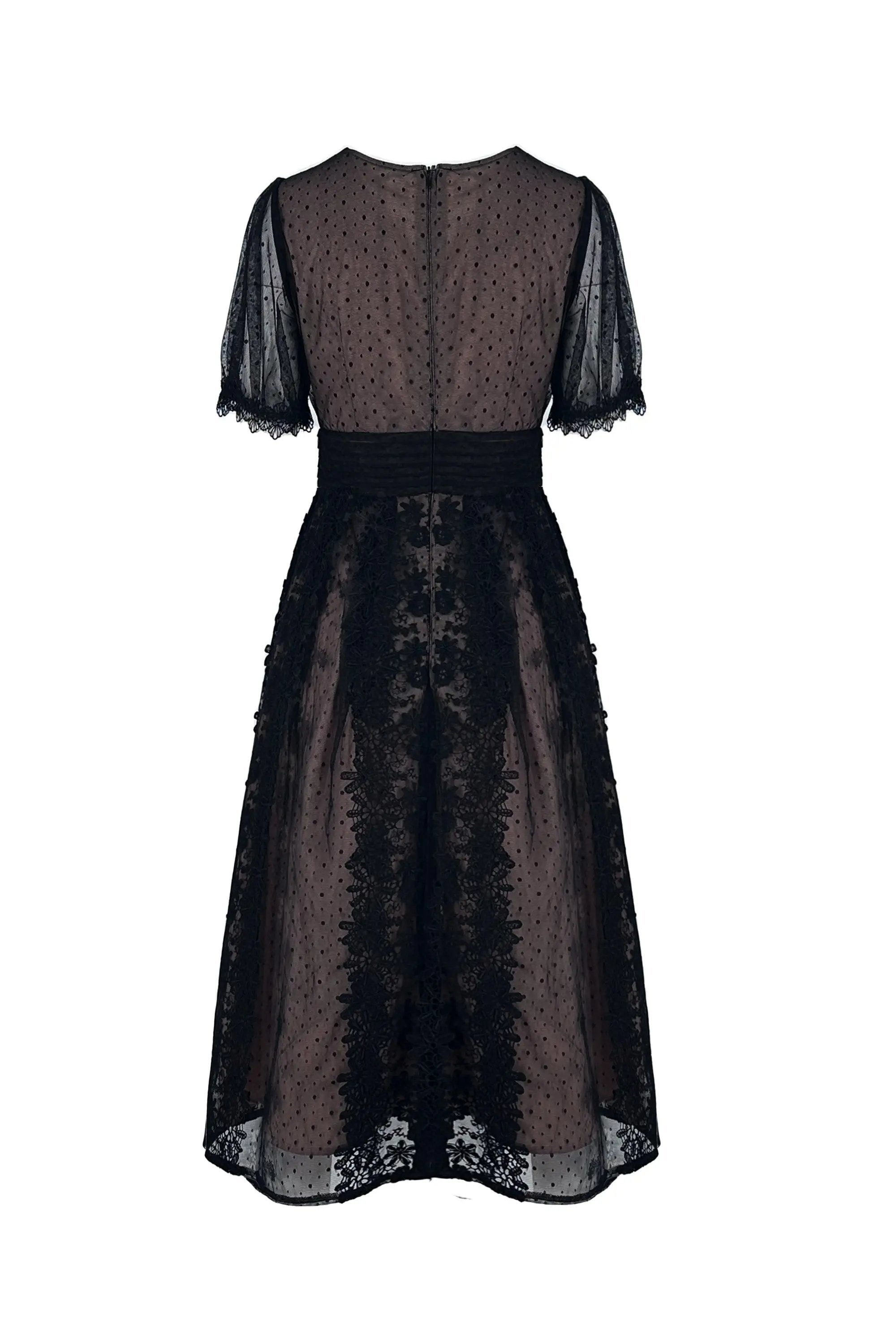 Women’s High Fashion Precious Nipped Waists V-neck lace Dress ULA